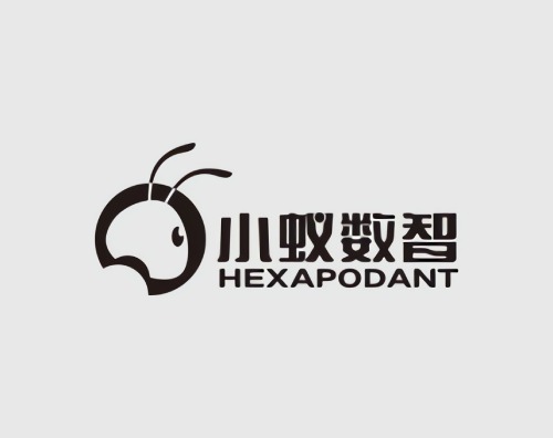 小蟻數智打造全新自適應官網
